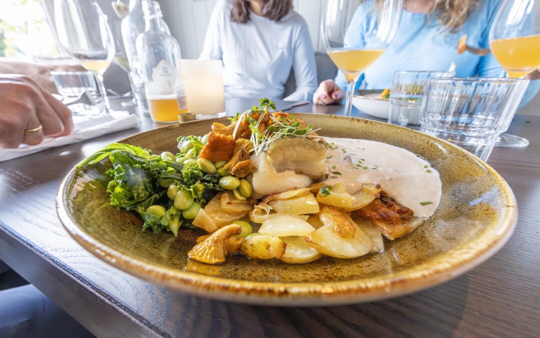 Explore Lysefjorden_2025_09_16_Shortcut To Mushrooms.1