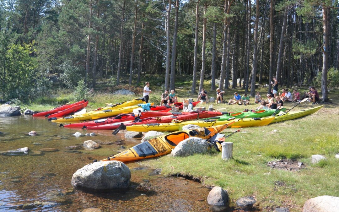 Kayak and fjord taste